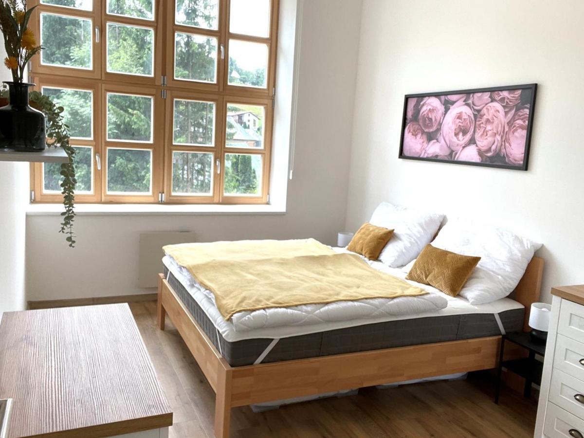 Residence Kotel Rokytnice nad Jizerou Eksteriør bilde